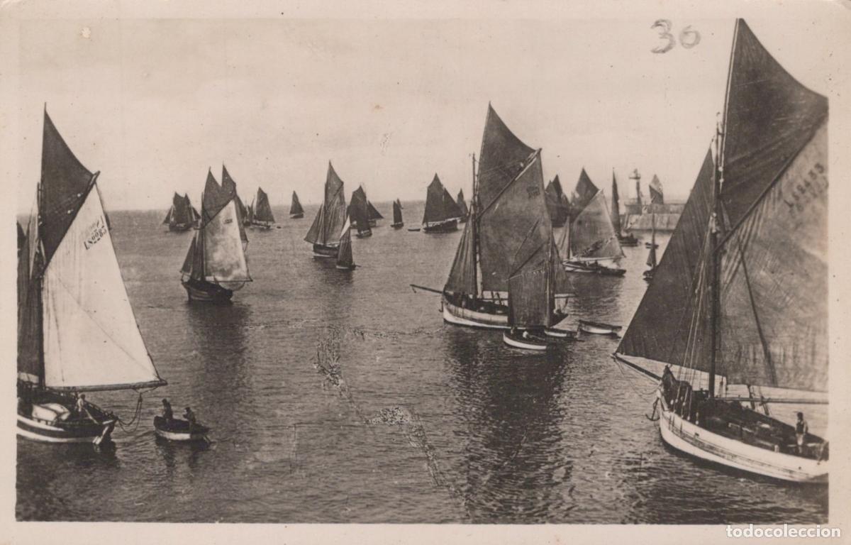 Cartes Postales: France Ile de R&eacute; Flotte de P&ecirc;che Phare des Baleines P&eacute;toncles *YAE255