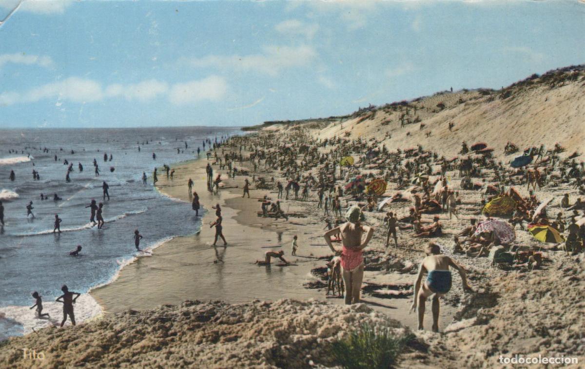 Postais: France Saint Palais sur Mer La Grande C&ocirc;te Plage Anim&eacute;e Real Photo *YAE266
