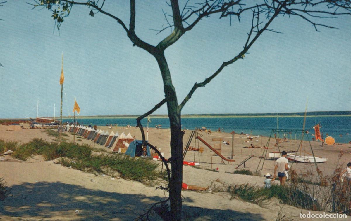 Postais: France Ronce les Bains Plage de L Am&eacute;lie *YAE277