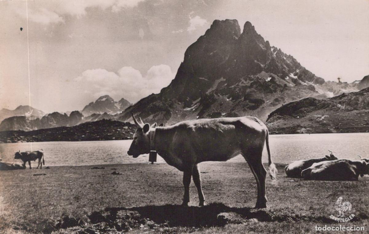 Postkarten: France Pau Lac D Ayous Pic du MIDI D Ossau Paysage Real Photo Unposted *YAE480
