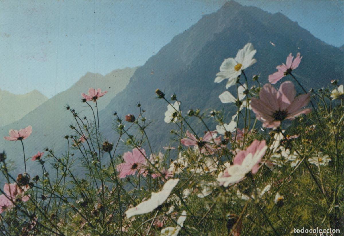 Postkarten: France Hautes Pyrenees Vallee d Aure Pic Peguere *YAE495