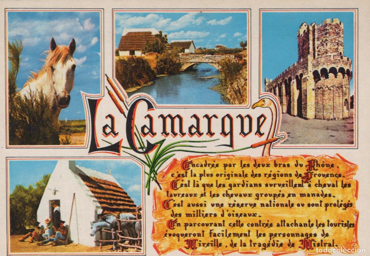 Postcards: France Saintes Maries de la Mer Bouches du Rh&ocirc;ne Paysage Chevaux *YAE559