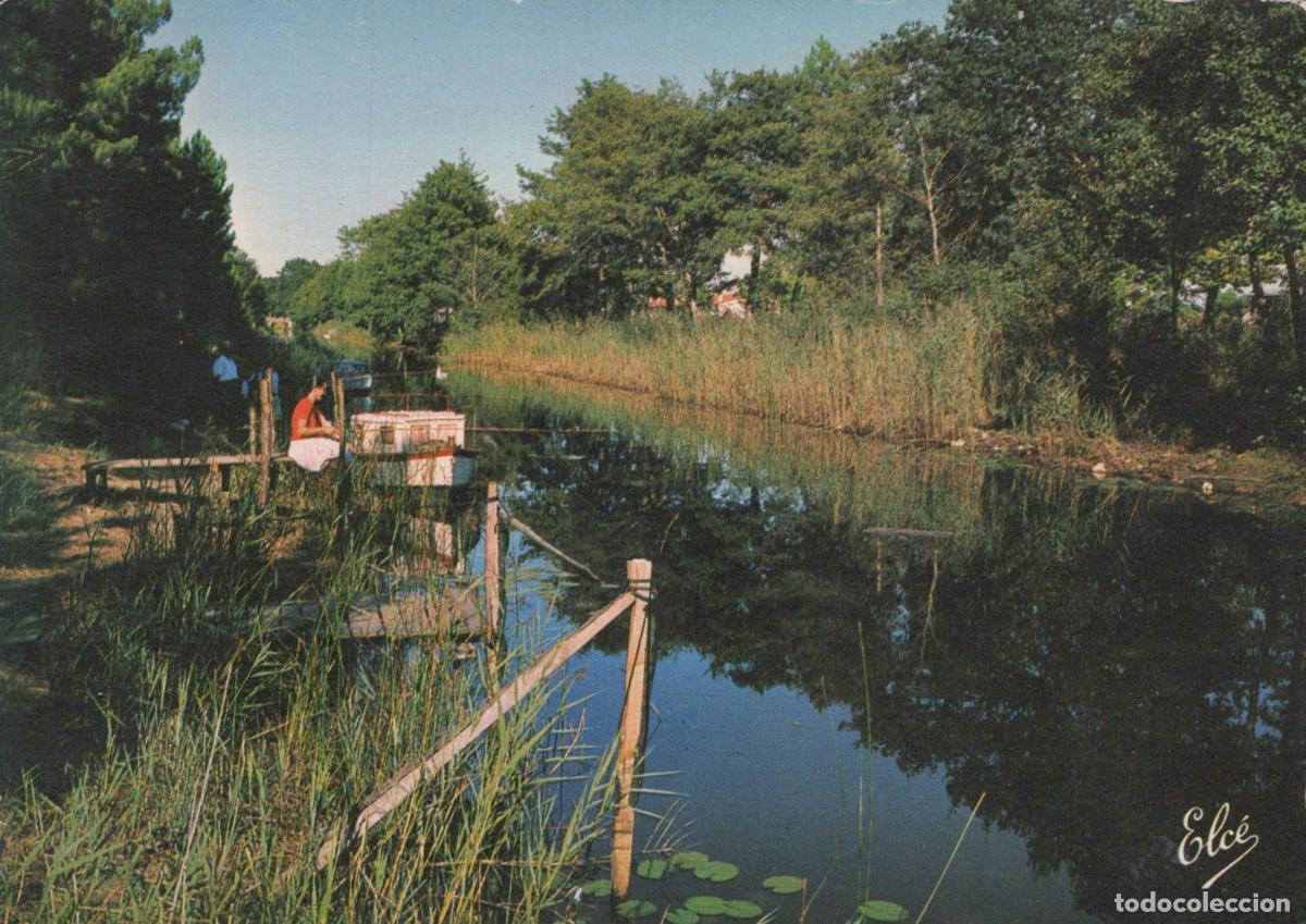 Postcards: France Cazaux Gironde Le Canal *YAE580