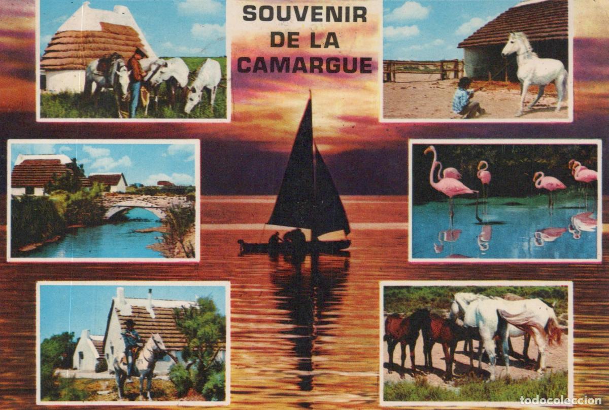 Cartoline: France Camargue Paysages Chevaux Flamants Roses Architecture *YAE590