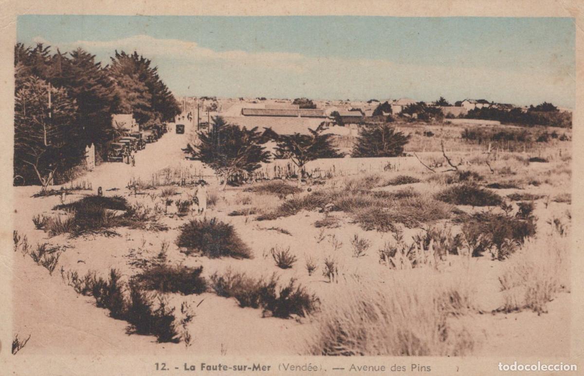Cartoline: France La Faute sur Mer Avenue des Pins Paysage C&ocirc;tier Unposted *YAE342
