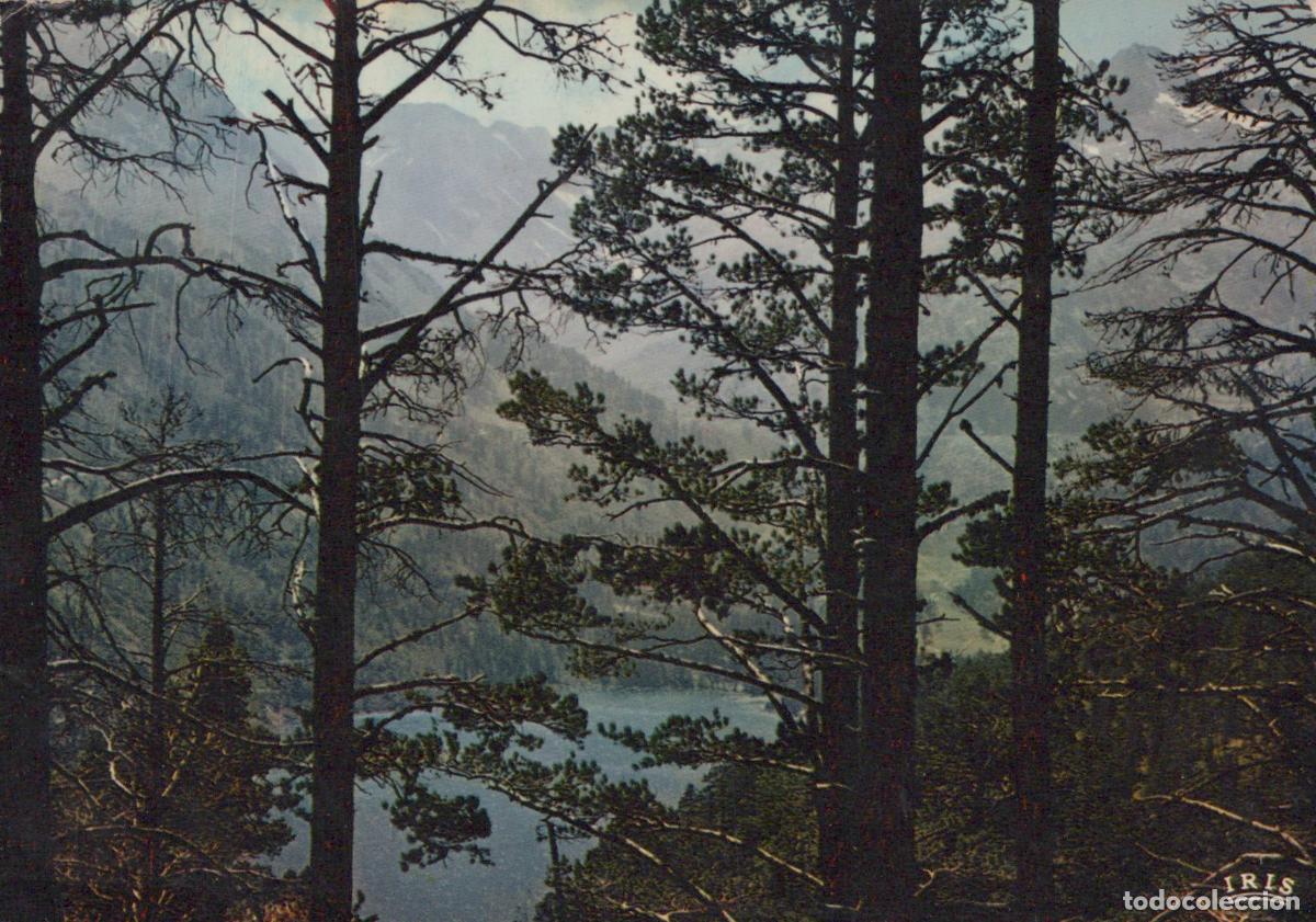 Cartoline: France Lac D Oredon Lac Oredon Montagnes Pins *YAE847