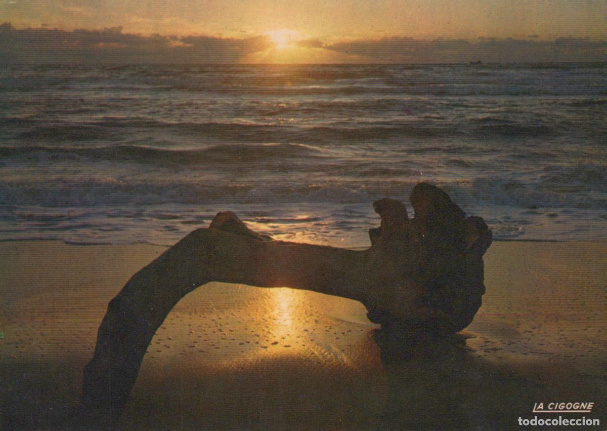 Cartes Postales: France Paysage Coucher de Soleil Oc&eacute;an Avec Bois Flott&eacute; Unposted *YAE912
