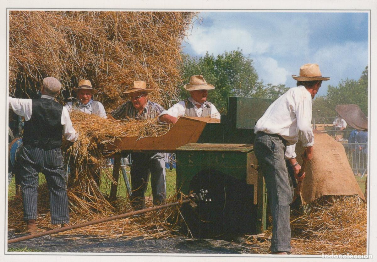 Cartoline: France Savigny Normandie Sc&egrave;ne Rurale Hommes &Agrave; la Batteuse *YAE942