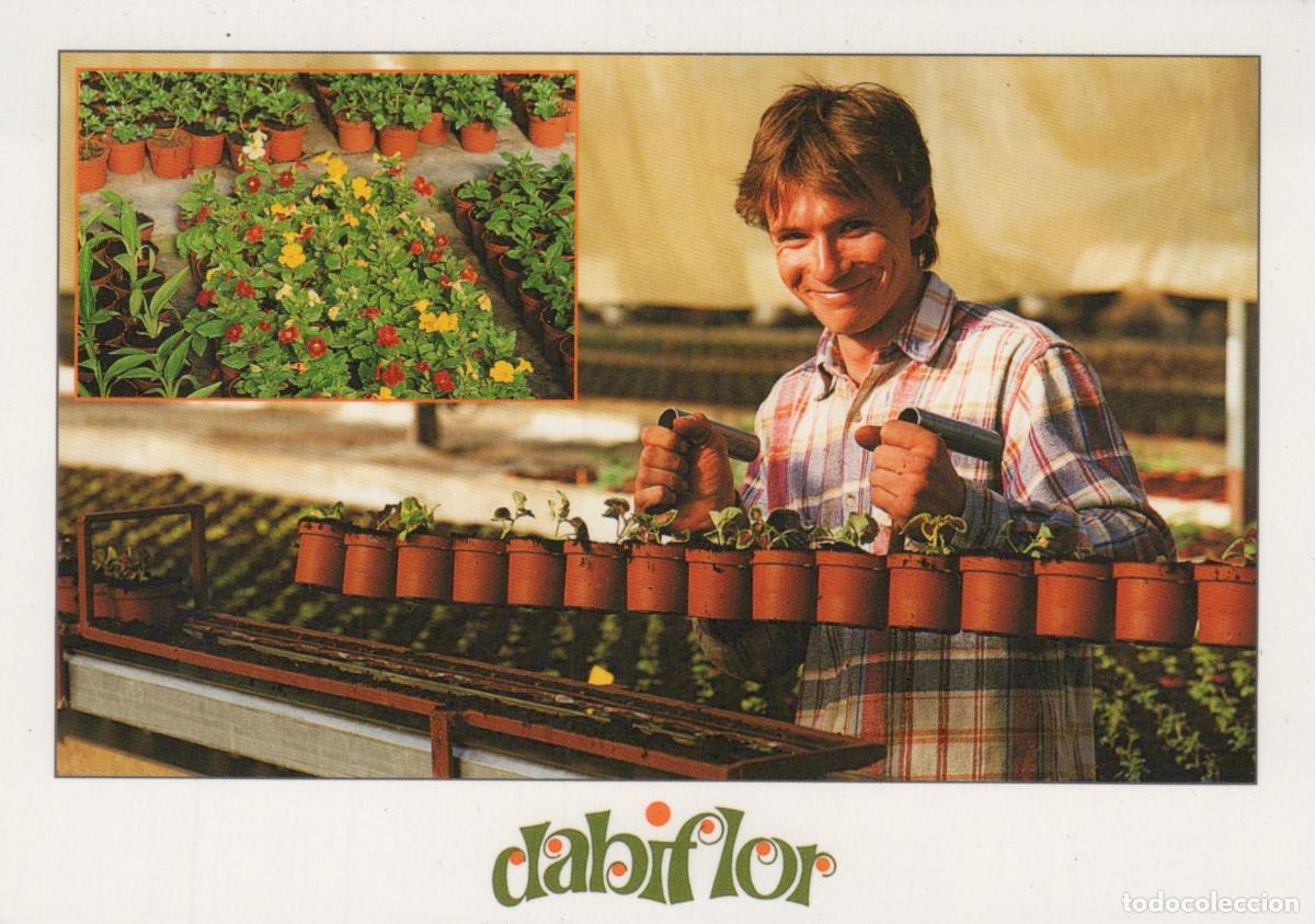 Cartes Postales: France Oraison Provence Homme Serre Horticole Plantes en Pots Unposted *YAE997