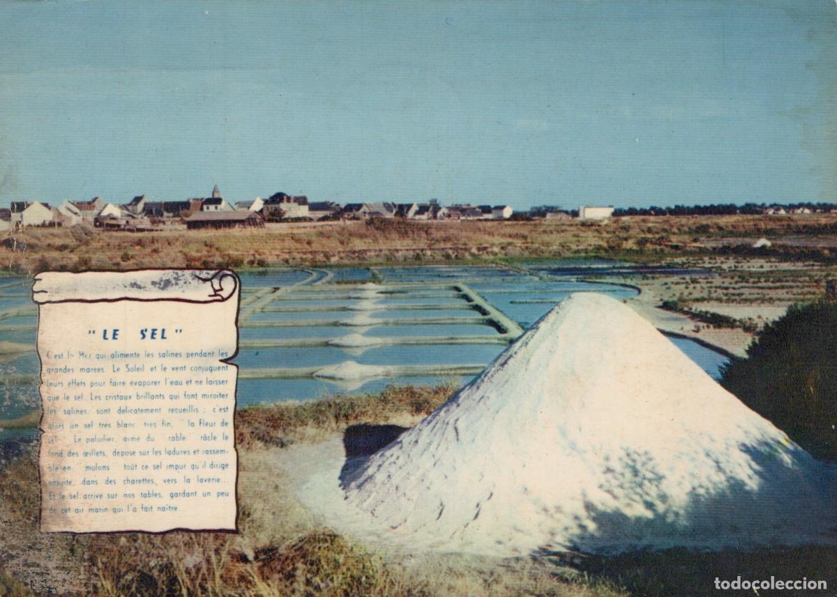 Postales: France Guerande Marais Salants Village Saille Production Sel Affranchie *YAE557