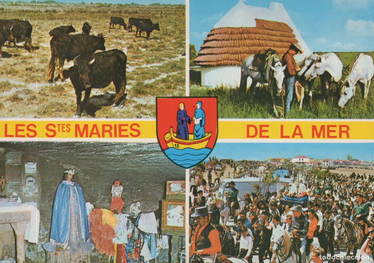 Cartes Postales: France Saintes Maries de la Mer Camargue P&egrave;lerinage Gitan Chevaux *YAE613
