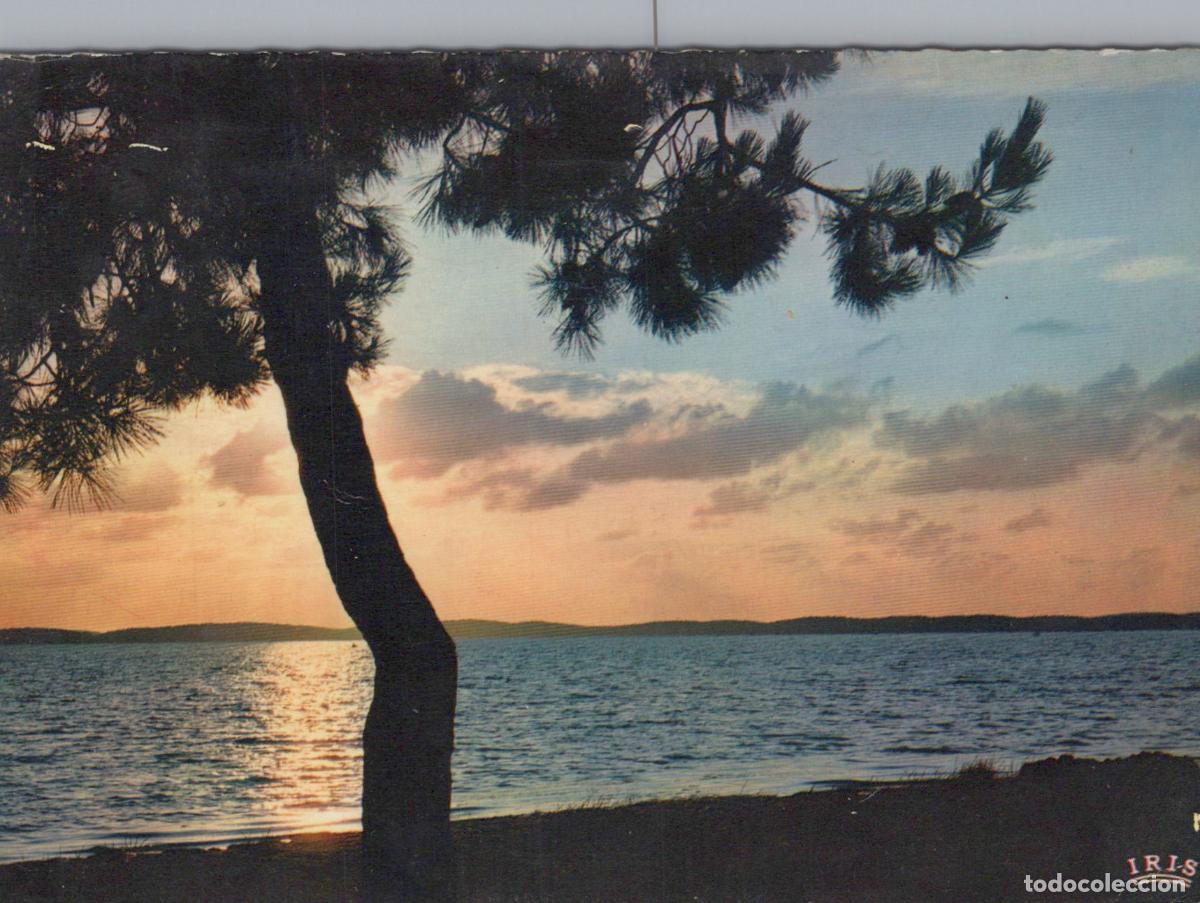Postales: France Arcachon Coucher de Soleil sur Lac des Landes Paysage *YAE672