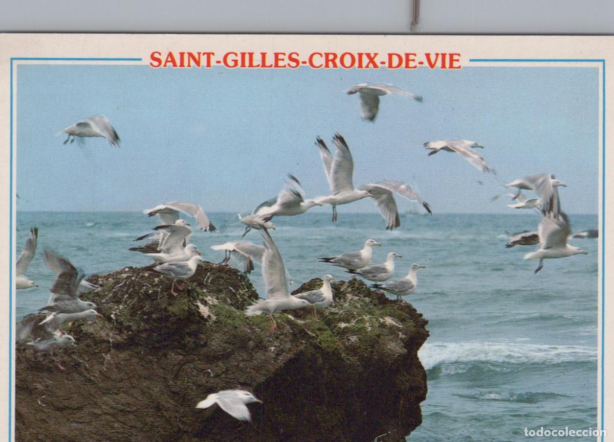 Postkarten: France Saint Gilles Croix de Vie Mouettes Oc&eacute;an Affranchie *YAE677