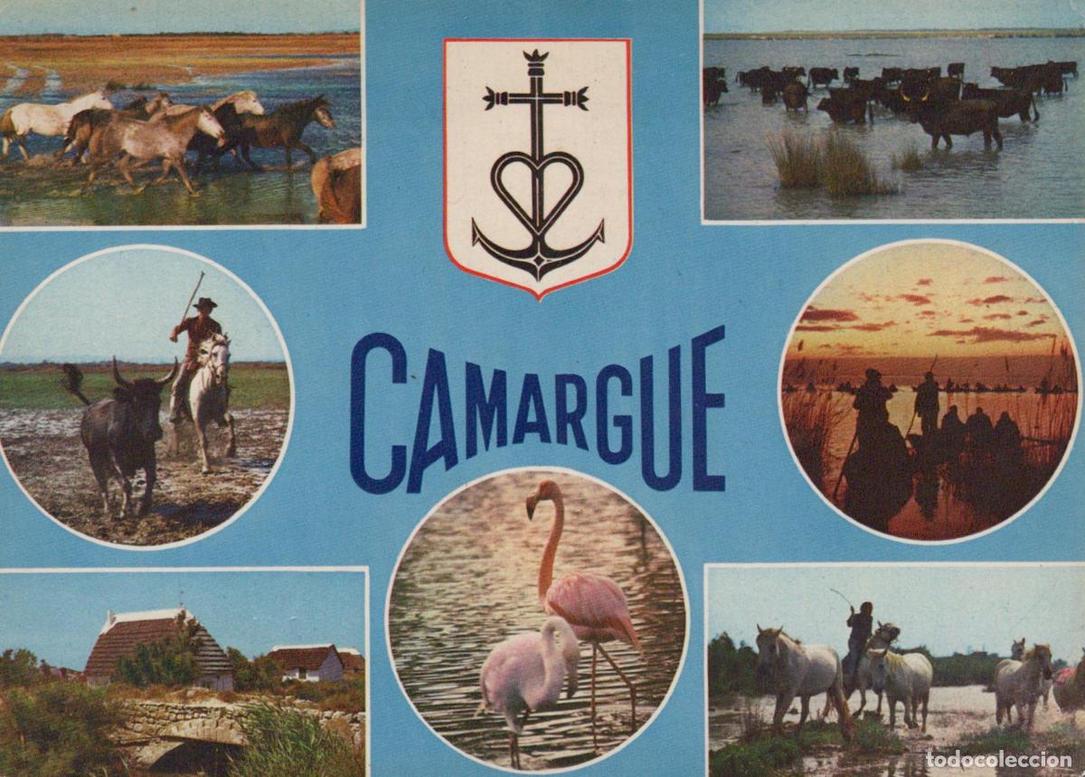 Postales: France Camargue Paysages Animaux et Gardians de *YAE724
