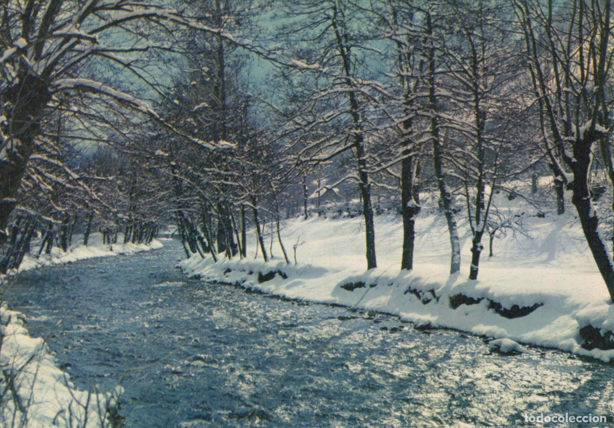 Postkarten: France Ruisseau Hivernal For&ecirc;t D Arbres Enneig&eacute;s Paysage Glac&eacute; *YAE739