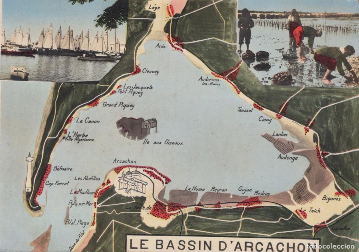 Postales: France Arcacaon Carte Bassin D Arcachon P&ecirc;cheurs Voiliers Phare *YAE763