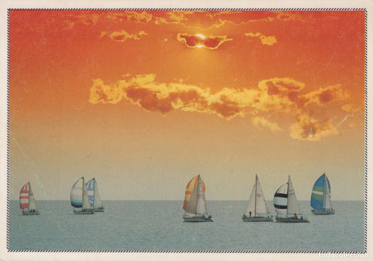 Postkarten: France Voiliers en R&eacute;gate au Coucher du Soleil Sc&egrave;ne Marine Unposted *YAE795