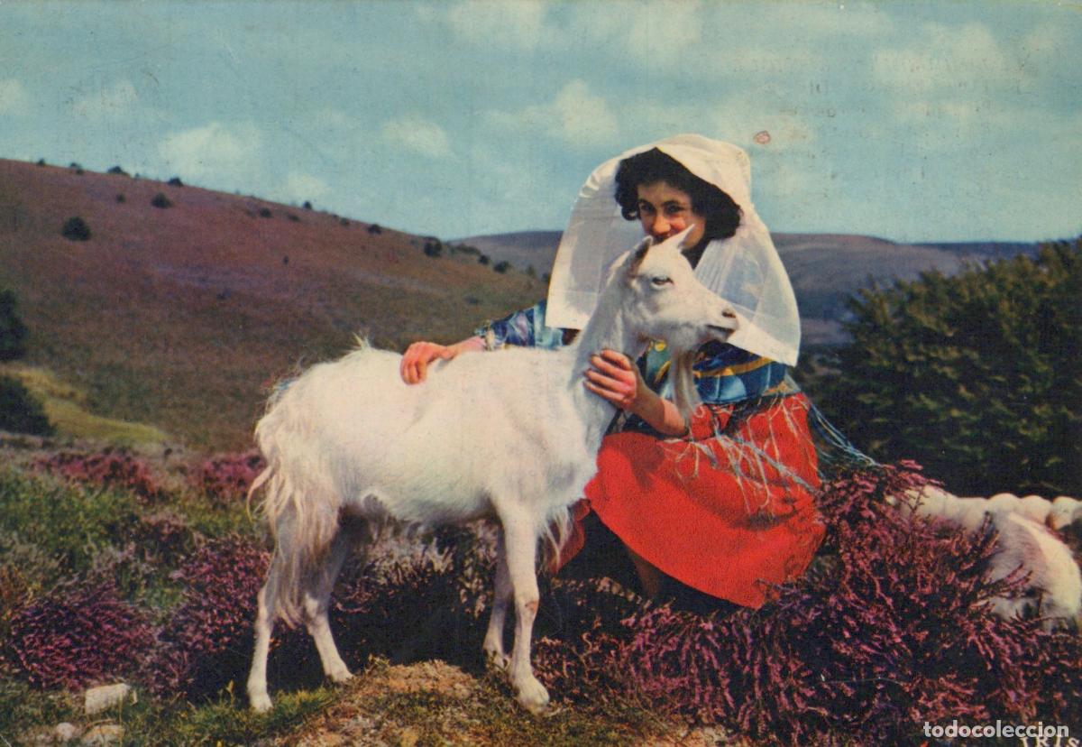 Postkarten: France Mon&eacute;di&egrave;res Femme en Costume Traditionnel et Ch&egrave;vre Post&eacute;e *YAE808