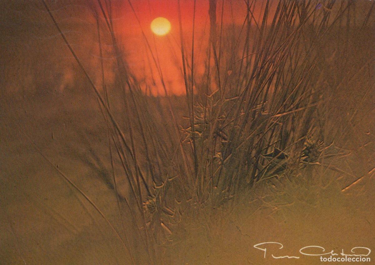 Postkarten: France Saint Georges D Ol&eacute;ron Paysage Coucher Soleil Herbes *YAE805