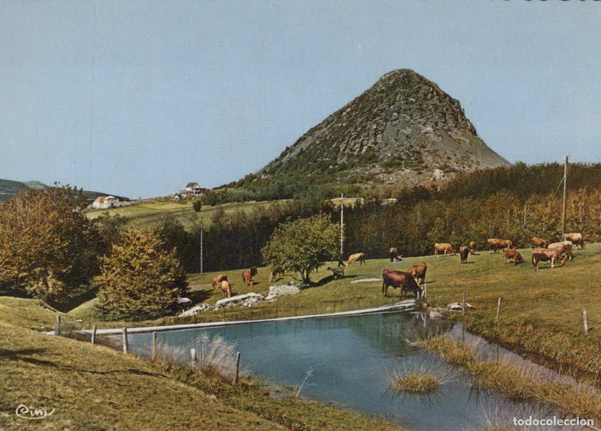 Postkarten: France Ard&egrave;che Montagne le Gerbier de Jonc Paysages Naturels Avec Vaches *YAE814