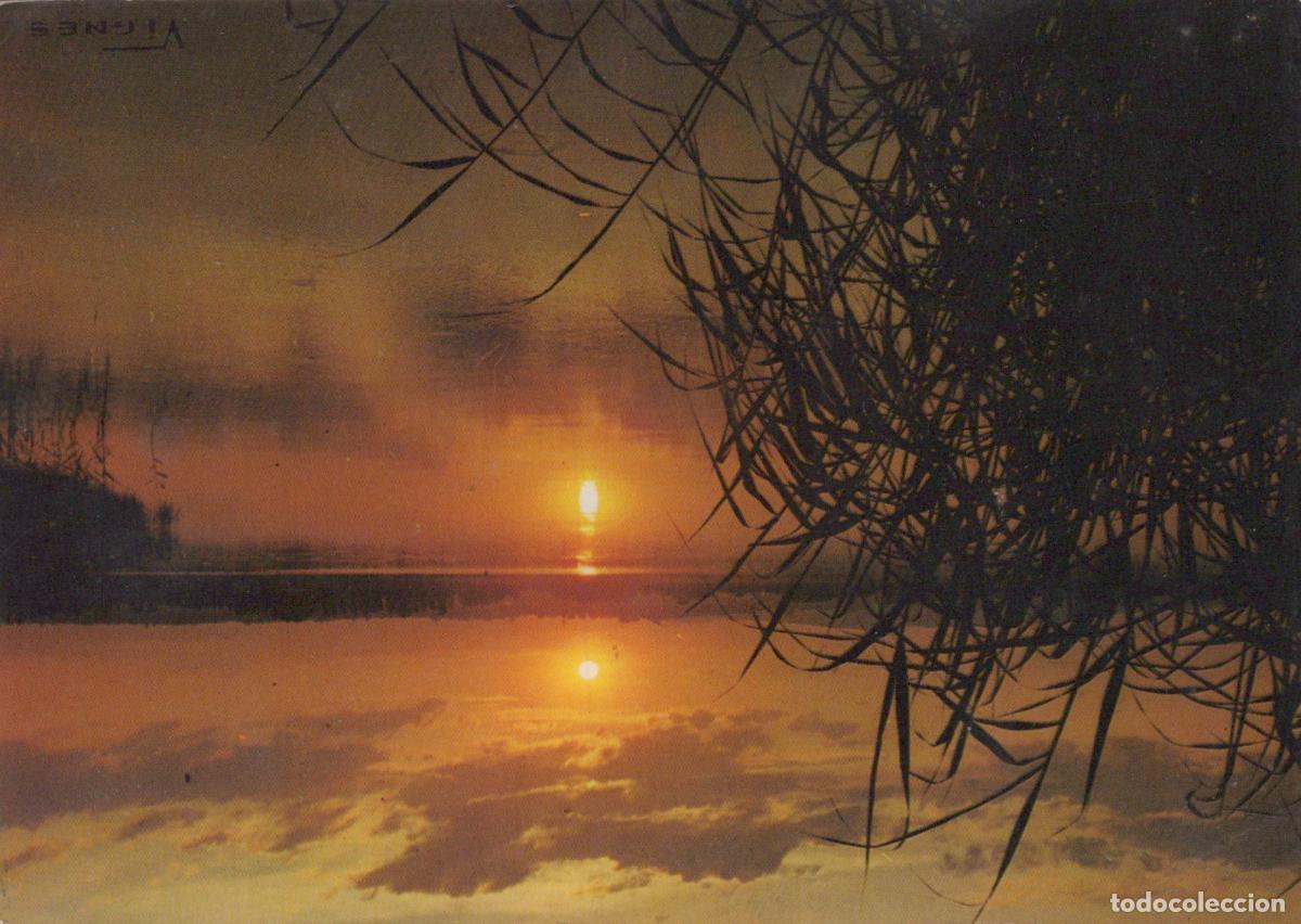 Postkarten: France Mimizan Coucher de Soleil sur les &Eacute;tangs Paysage *YAE823