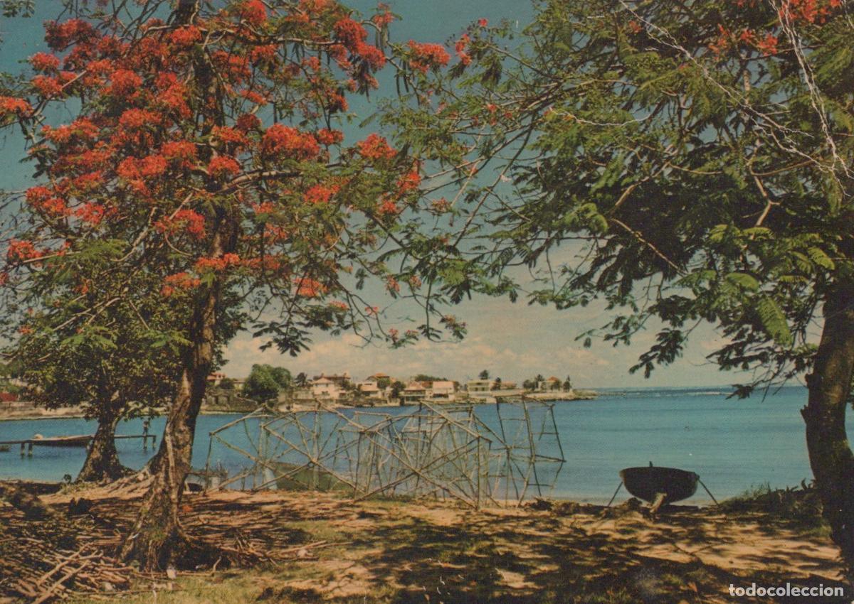 Postales: France Moule L Autre Bord Paysage C&ocirc;tier Tropical *YAE858