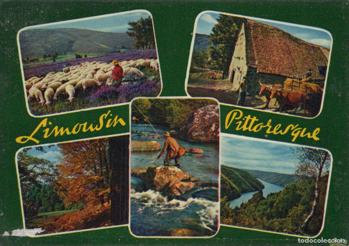 Postales: France Limousin Paysages Ruraux Moutons P&ecirc;che Architecture *YAE860
