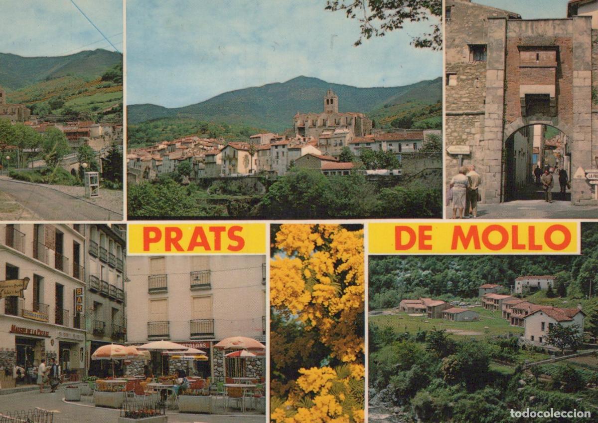 Postales: France Prats de Mollo Vues du Village Paysage et Mimosa *YAE859