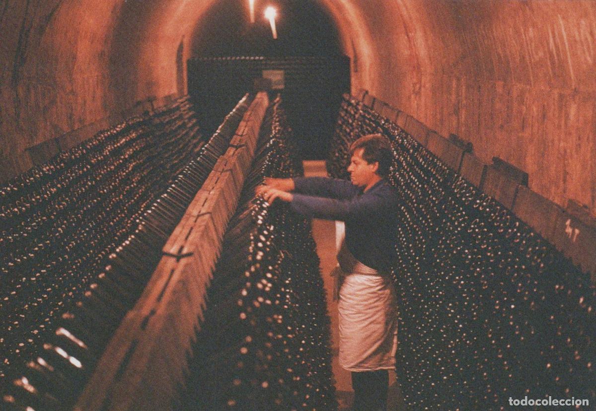 Postales: France Reims Champagne Palmer Remuage Cellier Production Unposted *YAE995