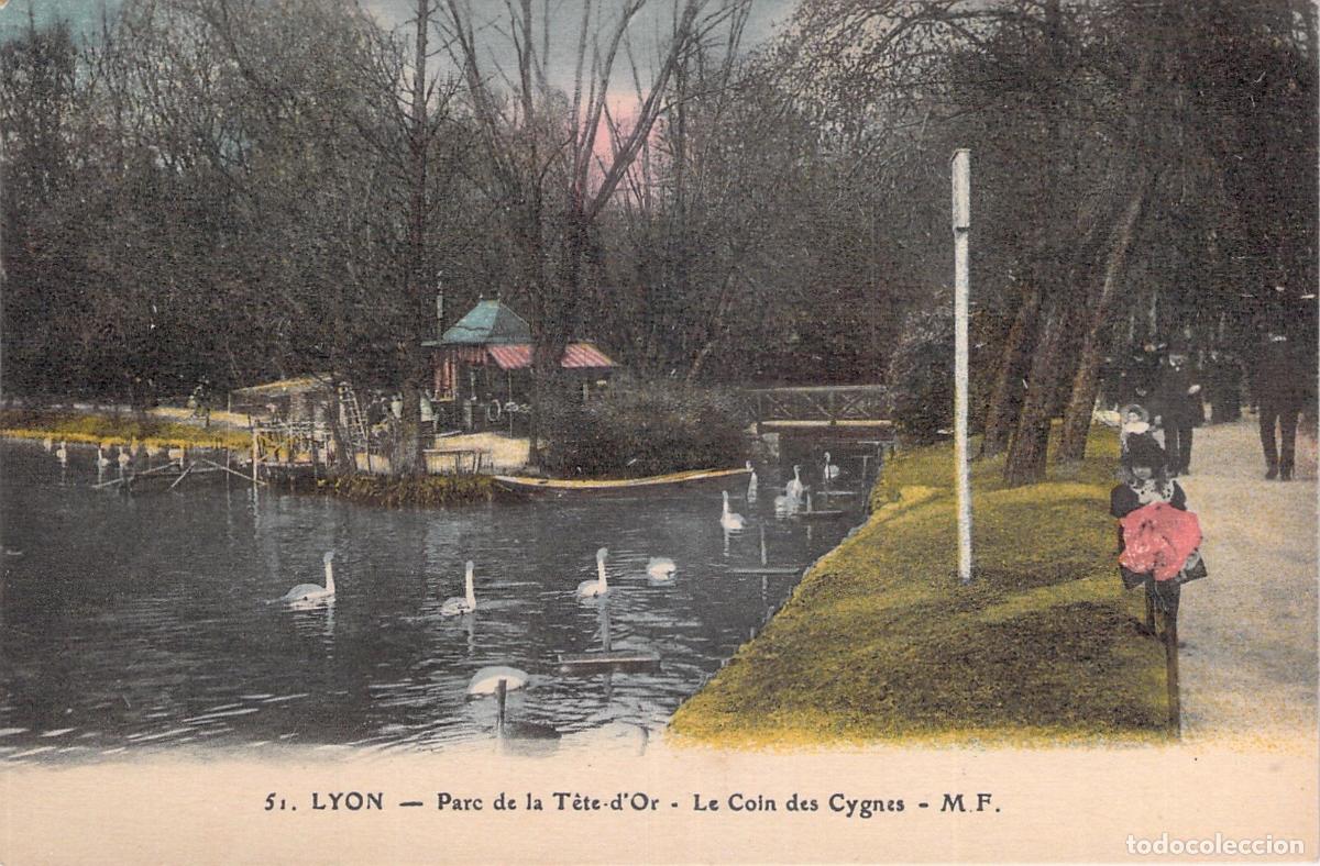 Postais: Postal de Lyon, Parc de la Tete d'Or, el Rinc&oacute;n de los Cisnes