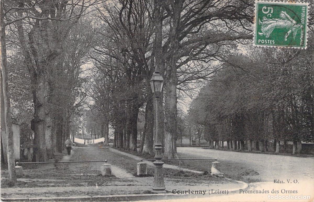 Cartes Postales: Postal de Courtenay Promenades des Ormes en Francia
