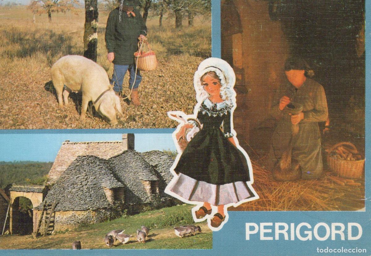 Cartoline: France Perigord P&eacute;rigord Vie Rurale Architecture Animaux *YAF020