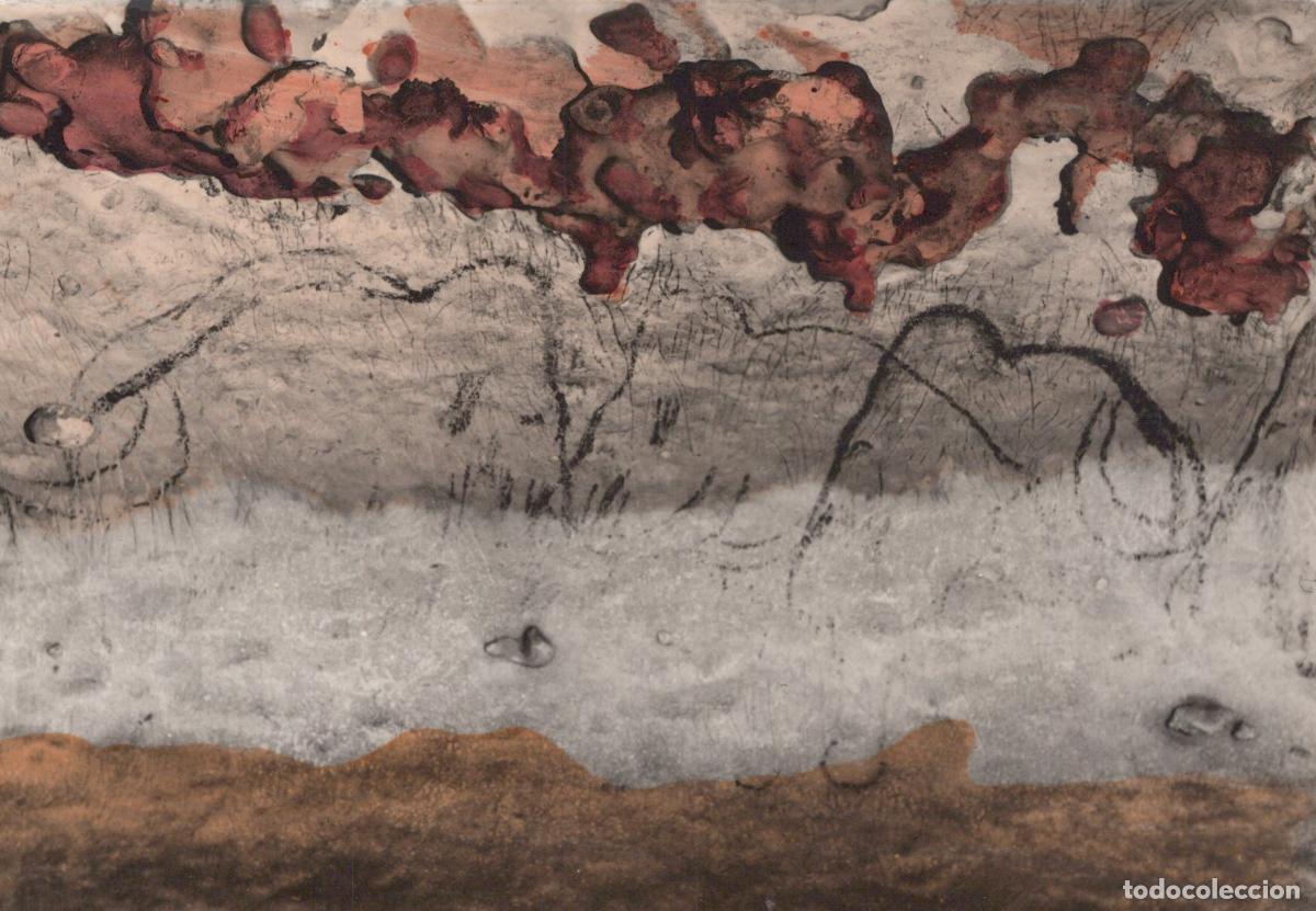 Cartoline: France Rouffignac Grotte Frise DIX Mammouths Art Pr&eacute;historique Unposted *YAF026