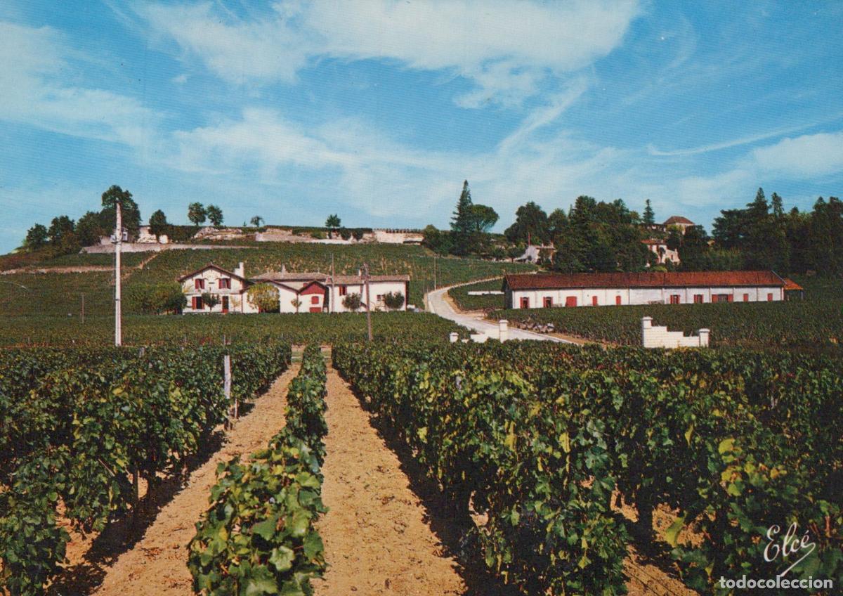 Cartoline: France Saint &Eacute;milion Vignoble Ch&acirc;teau Pavie Paysage Viticole Unposted *YAF031