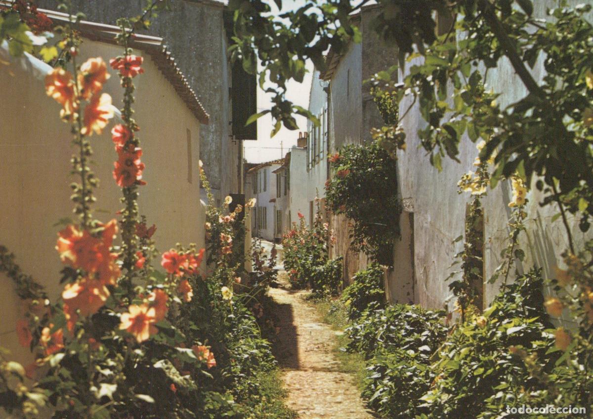 Cartes Postales: France Ile de Re Village Street Flowers *YAF083