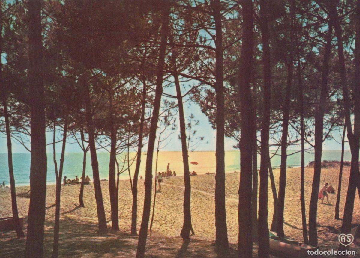 Cartes Postales: France St Palais sur Mer Plage des Pins *YAF117