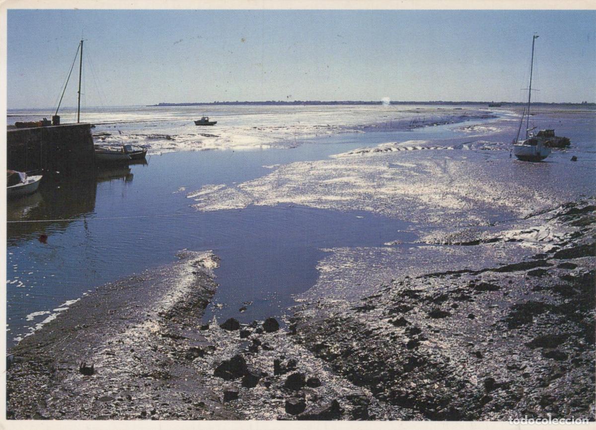 Cartes Postales: France Loix en Re Port et Chenal Fosse de Loix *YAF084