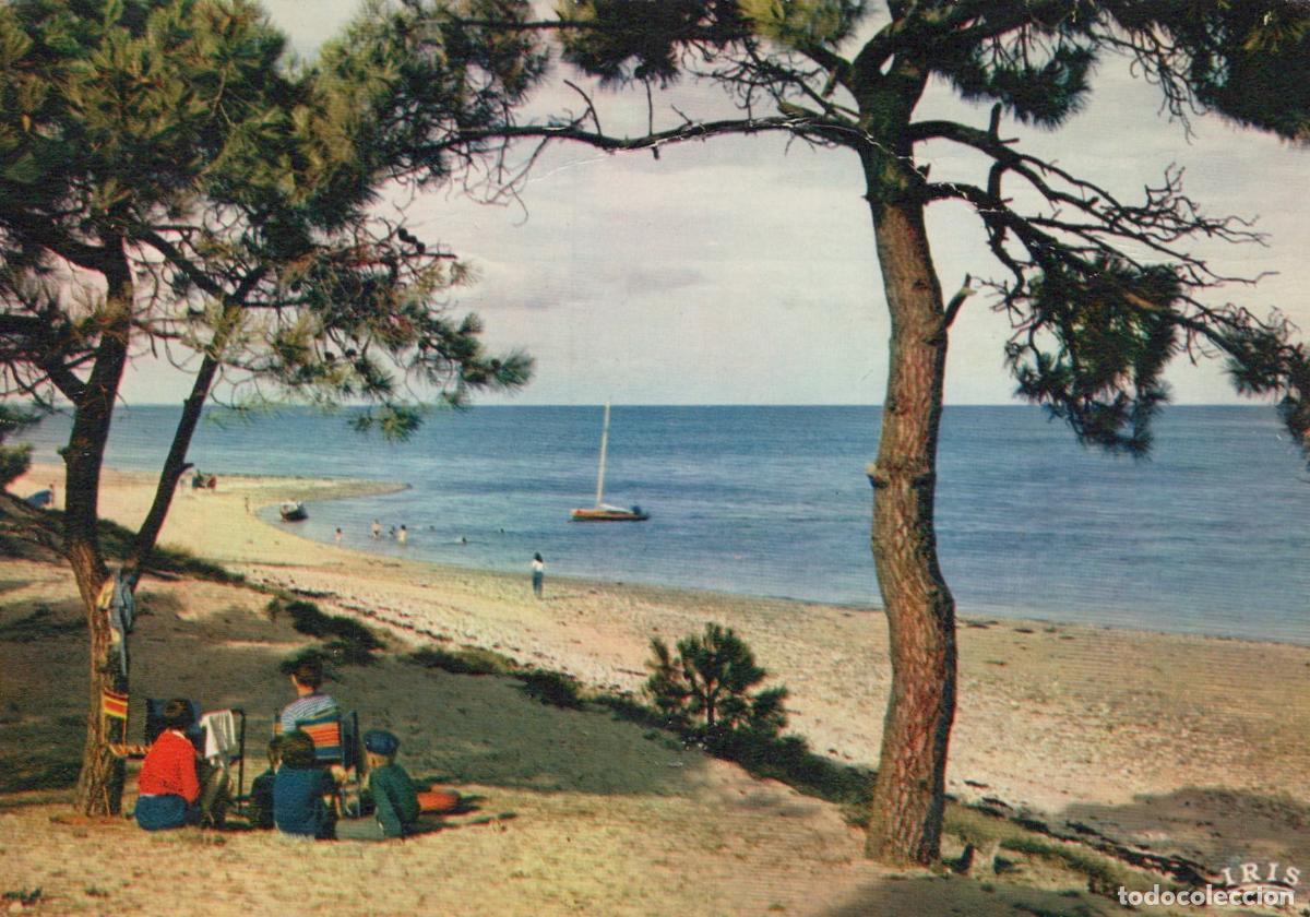 Cartes Postales: France Ile de Re Plage Trousse Chemise Paysage Bateau Unposted *YAF081