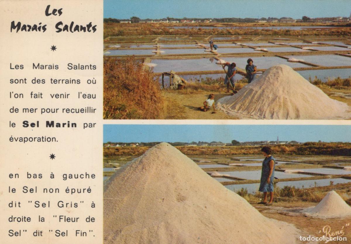 Cartes Postales: France Gu&eacute;rande Marais Salants R&eacute;colte du Sel Real Photo *YAF094