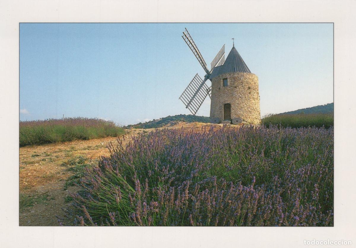 Cartes Postales: France R&eacute;gion M&eacute;diterran&eacute;enne Moulin &Agrave; Vent Lavande Paysage Unposted *YAF148