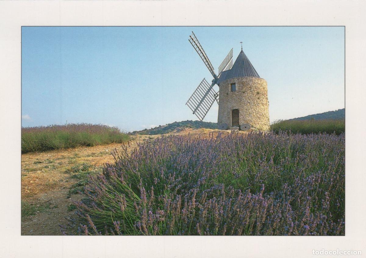 Cartes Postales: France St Jean de Vedas R&eacute;gion M&eacute;diterran&eacute;enne Moulin &Agrave; Vent Unposted *YAF162