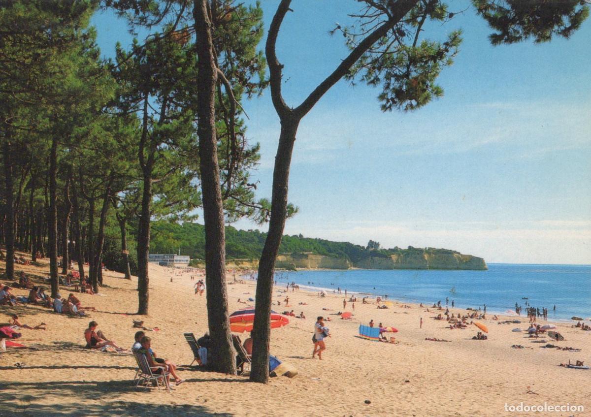 Cartes Postales: France Royan Beach with Pines *YAF111
