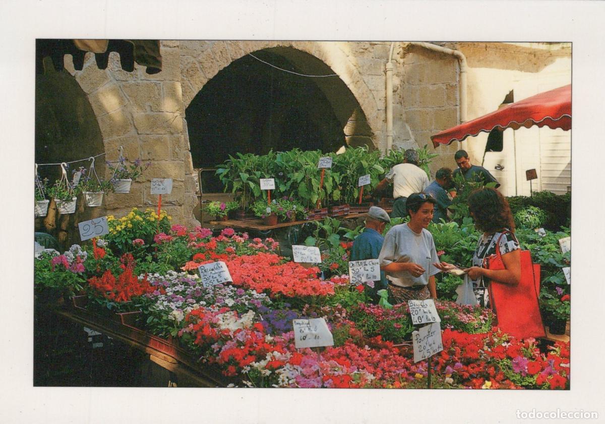 Cartes Postales: France St Jean de Vedas March&eacute; Aux Fleurs M&eacute;diterran&eacute;en Unposted *YAF182