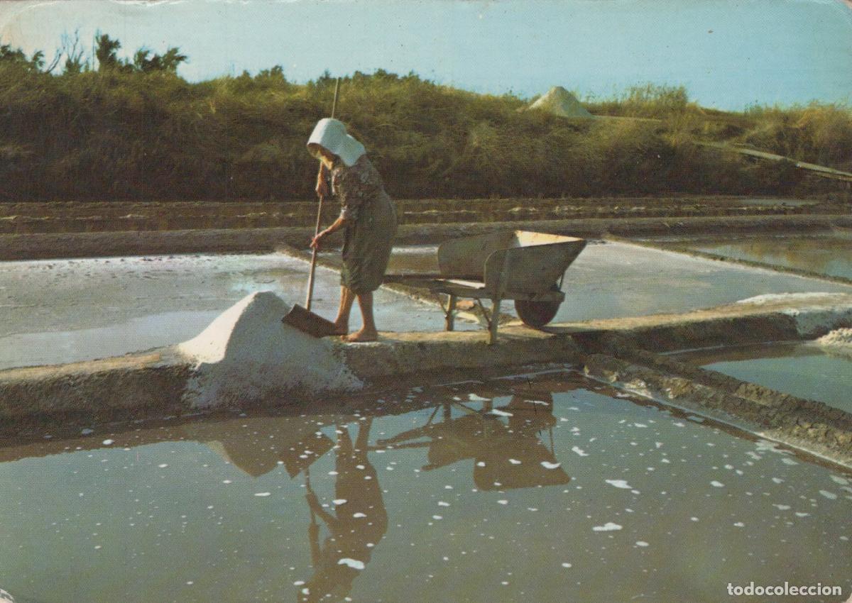 Postcards: France &Icirc;le de R&eacute; Femme R&eacute;coltant le Sel Marais Salants *YAF126