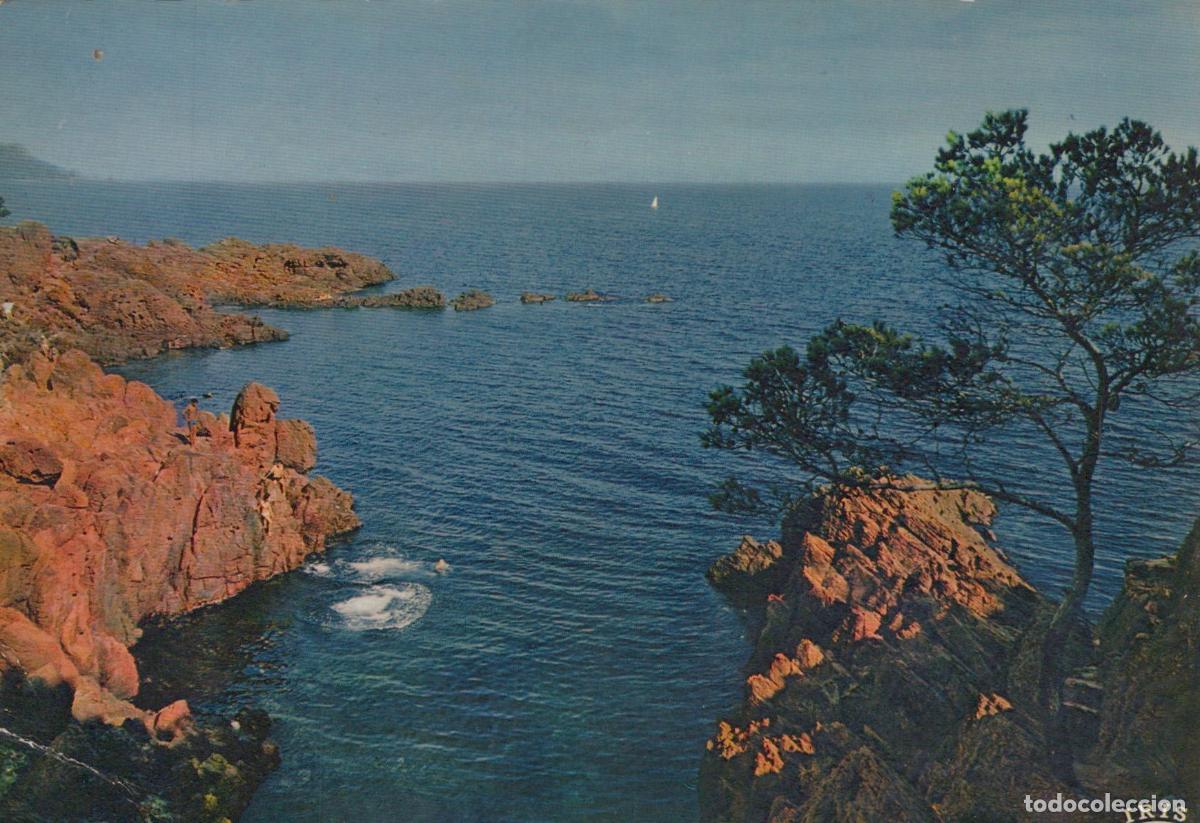 Postcards: France Saint Rapha&euml;l C&ocirc;te D Azur Paysage C&ocirc;tier Rocheux M&eacute;diterran&eacute;en *YAF212