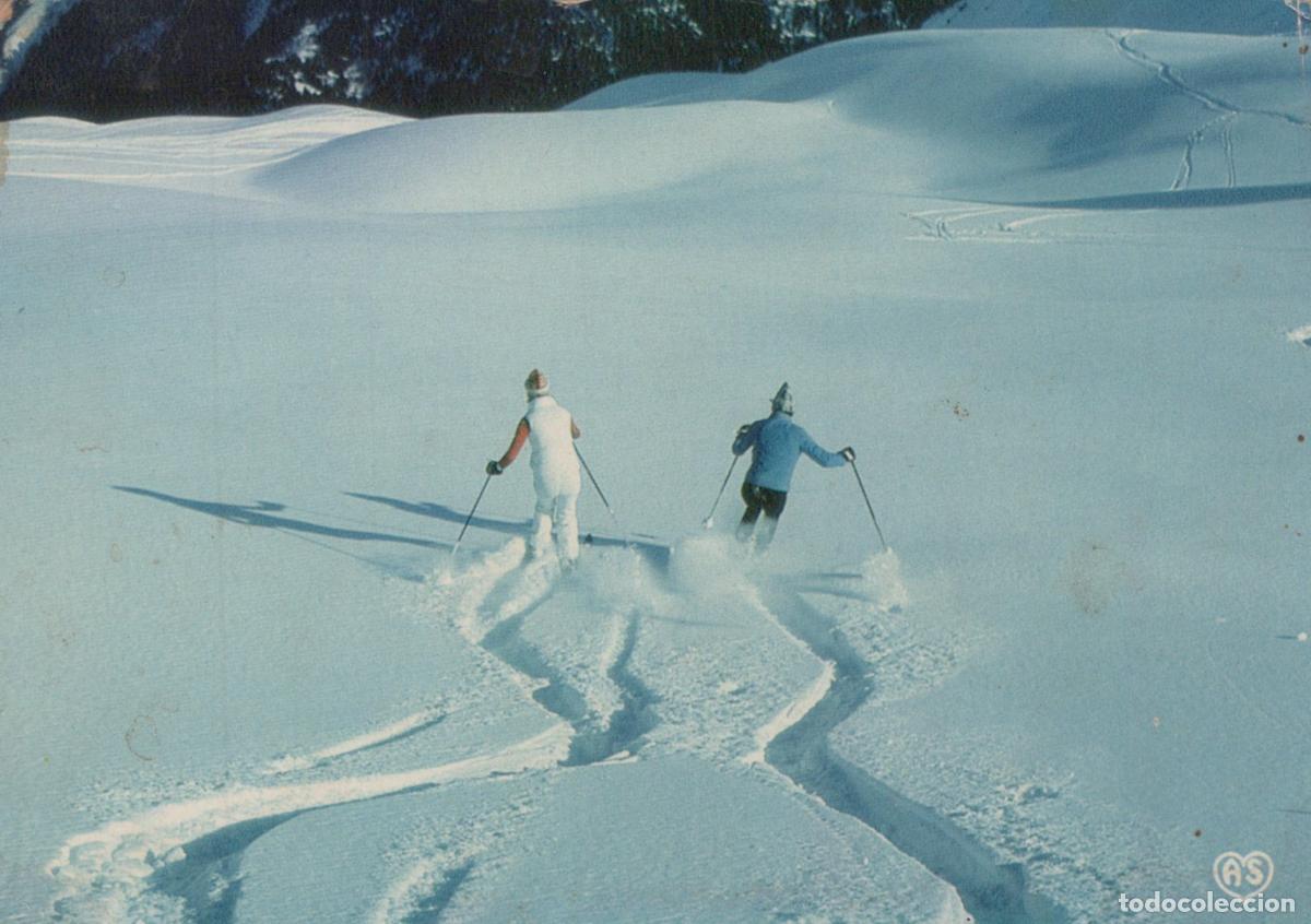 Postales: France Alpes Montagnes Jeux de Ski Dans la Neige Fra&icirc;che *YAF334