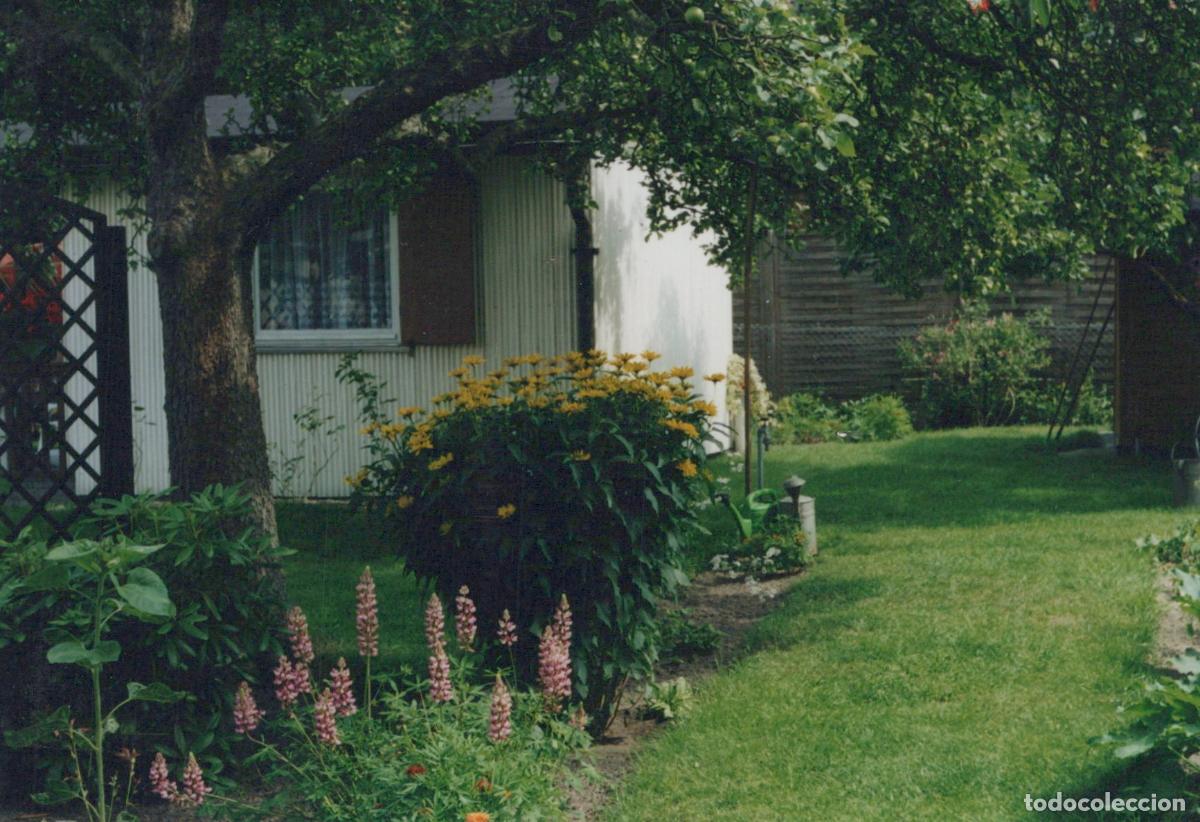 Postcards: Deutschland L&auml;ndlich Gartenidyll mit Blumen und Haus Verschickt *YAF369