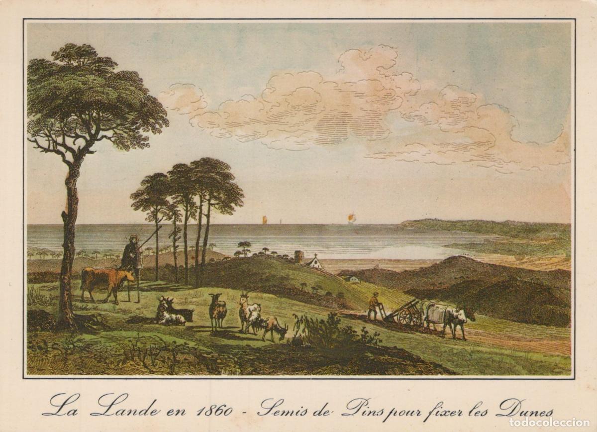 Postcards: France Les Landes Paysage Rural Historique 1860 Semis de Pins Berger *YAF250