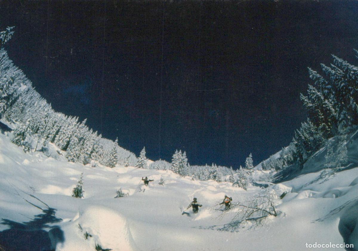 Postais: France Les Houches Paysage Hivernal Skieurs Mont Blanc *YAF448