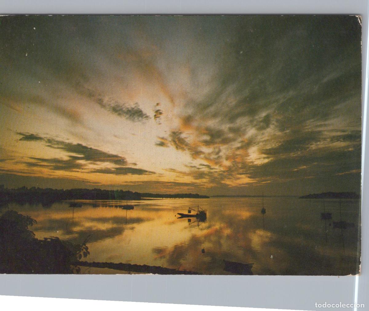 Postais: France Damgan Bretagne Golfe du Morbihan Coucher de Soleil Bateaux *YAF509